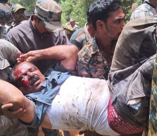 ಆನೆ-ದಾಳಿ-ಅರವಳಿಕೆ-ನೀಡುತ್ತಿದ್ದ‌-ಸಿಬ್ಬಂದಿ‌-ಗಂಭೀರ