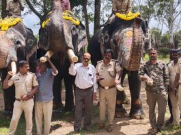 ಗಜಪಯಣಕ್ಕೆ-ಭಾಗವಹಿಸಲು-ಕೊಡಗಿನಿಂದ-ಹೊರಟ-ಸಾಕಾನೆಗಳು