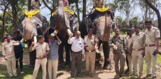 ಗಜಪಯಣಕ್ಕೆ-ಭಾಗವಹಿಸಲು-ಕೊಡಗಿನಿಂದ-ಹೊರಟ-ಸಾಕಾನೆಗಳು