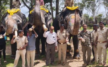 ಗಜಪಯಣಕ್ಕೆ-ಭಾಗವಹಿಸಲು-ಕೊಡಗಿನಿಂದ-ಹೊರಟ-ಸಾಕಾನೆಗಳು