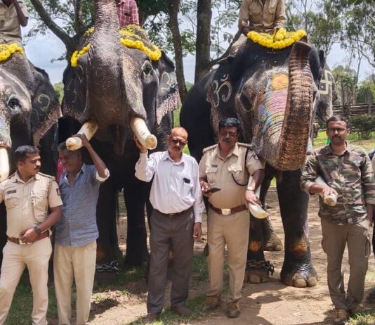 ಗಜಪಯಣಕ್ಕೆ-ಭಾಗವಹಿಸಲು-ಕೊಡಗಿನಿಂದ-ಹೊರಟ-ಸಾಕಾನೆಗಳು