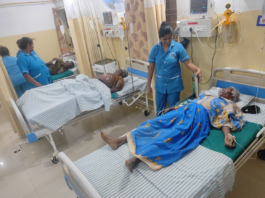 ಹೆಜ್ಜೇನು ದಾಳಿ: 10 ಮಂದಿ ಅಸ್ವಸ್ಥ